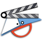 Video Course